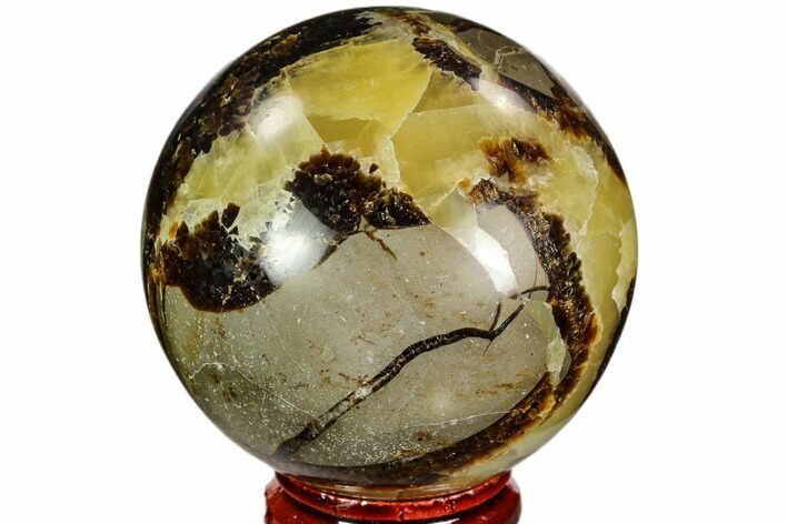 Polished Septarian Sphere - Madagascar #110657